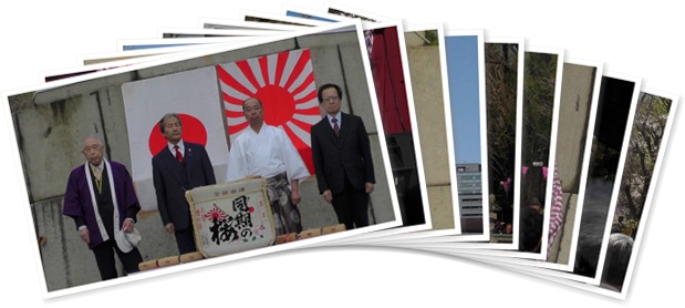 アルバムを表示します