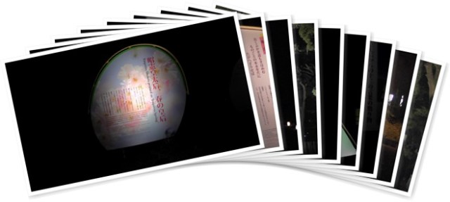 アルバムを表示します