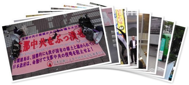 アルバムを表示します