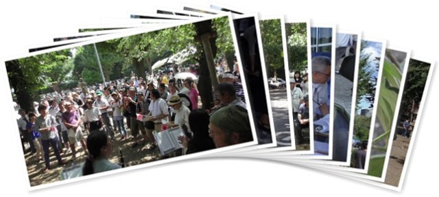 アルバムを表示します