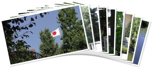 アルバムを表示します