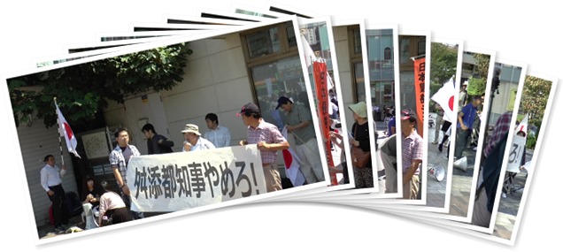 アルバムを表示します