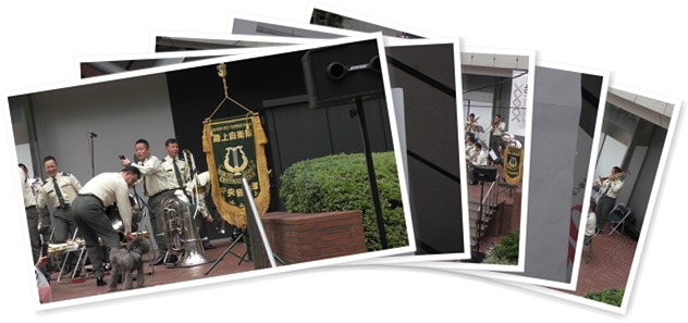 アルバムを表示します