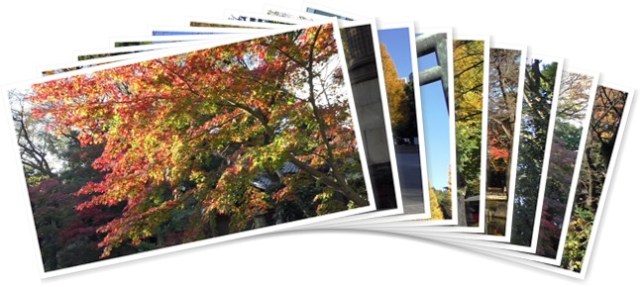 アルバムを表示します