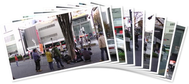 アルバムを表示します