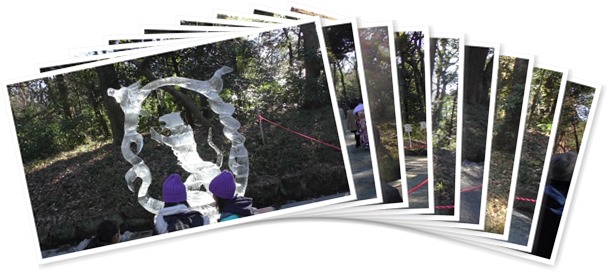 アルバムを表示します