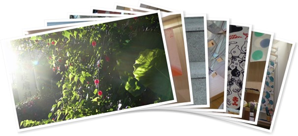 アルバムを表示します