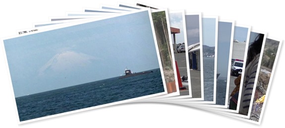 アルバムを表示します