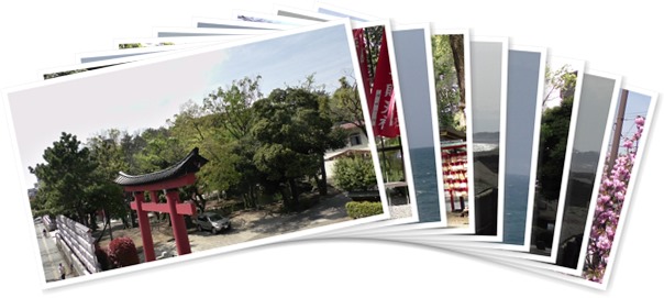 アルバムを表示します