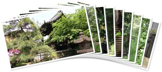 アルバムを表示します