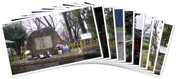 アルバムを表示します