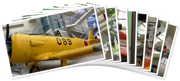 アルバムを表示します