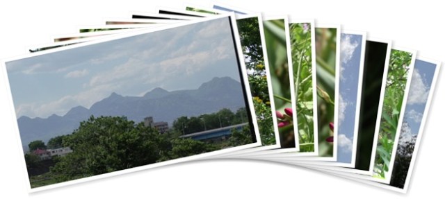 アルバムを表示します