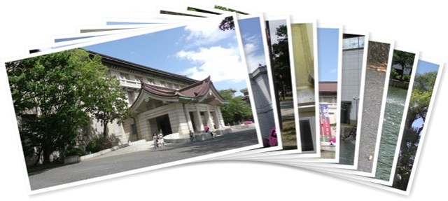 アルバムを表示します