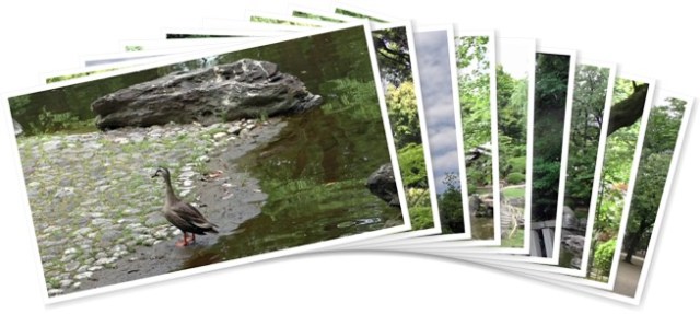 アルバムを表示します