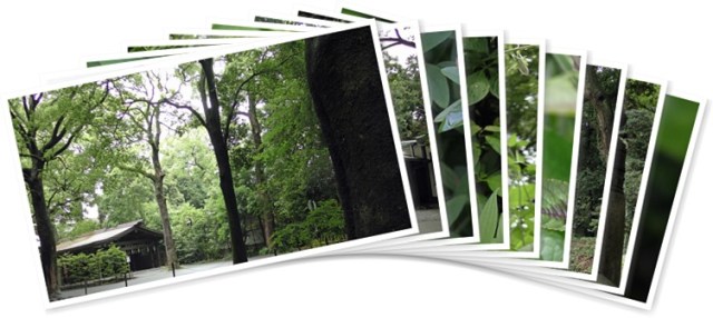 アルバムを表示します