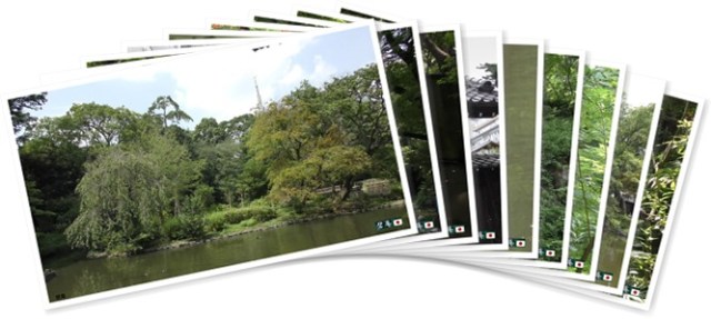 アルバムを表示します