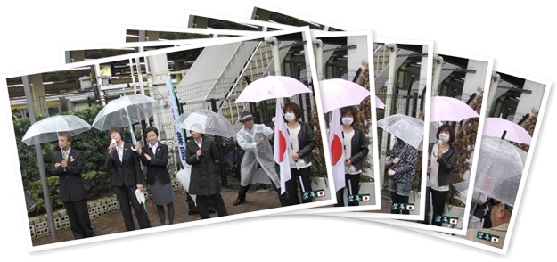 アルバムを表示します