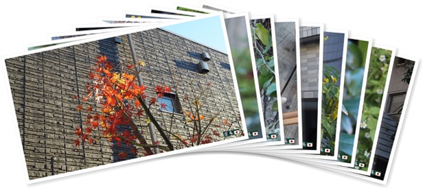 アルバムを表示します