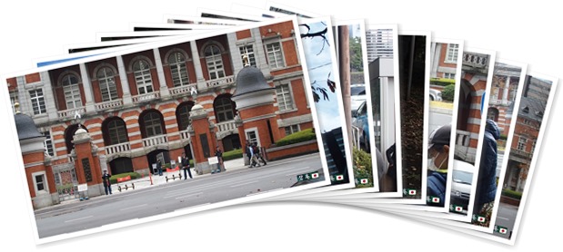 アルバムを表示します