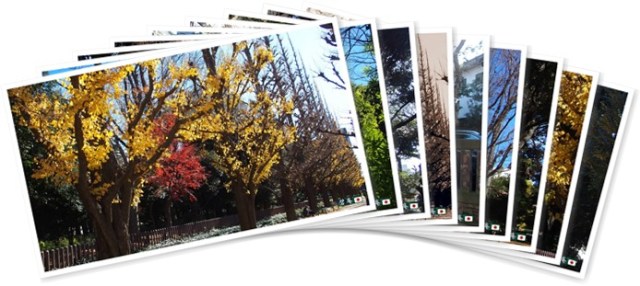 アルバムを表示します