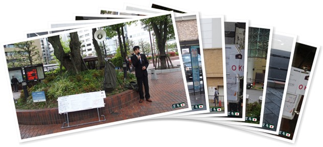 アルバムを表示します