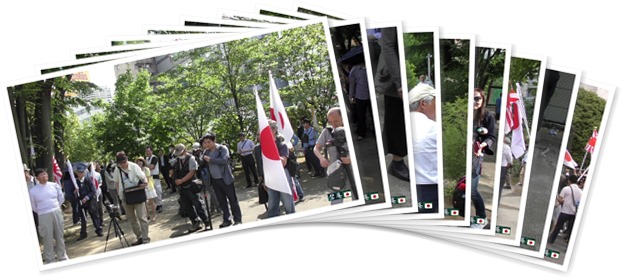 アルバムを表示します