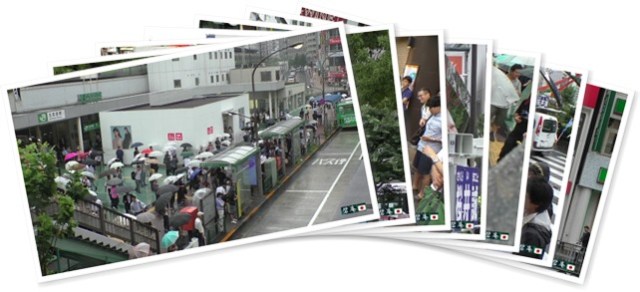 アルバムを表示します