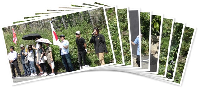 アルバムを表示します