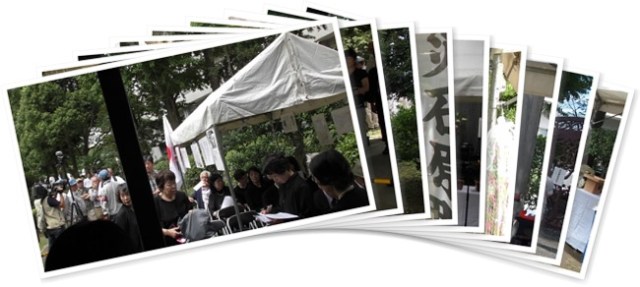 アルバムを表示します