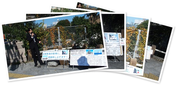 アルバムを表示します