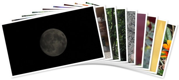 アルバムを表示します