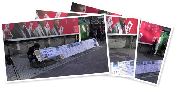 アルバムを表示します