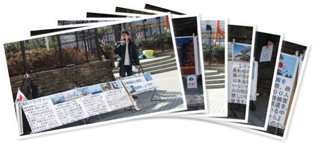 アルバムを表示します