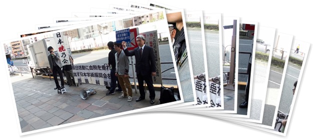 アルバムを表示します