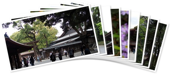 アルバムを表示します